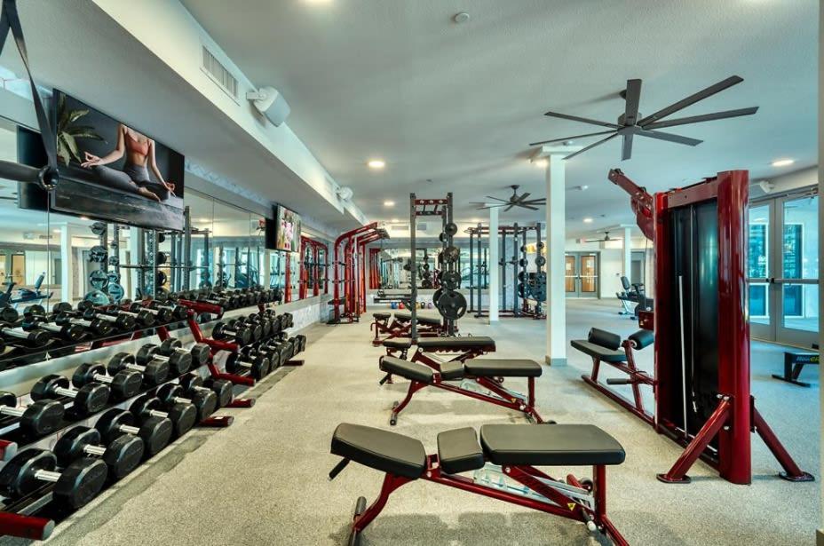 Cozysuites Phx Roro Gym, Pool, Pets, Parking! #9 ฟีนิกซ์ ภายนอก รูปภาพ